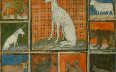 Exposition temporaire à la Maison du Gouverneur : « Bêtes d’expo ! »