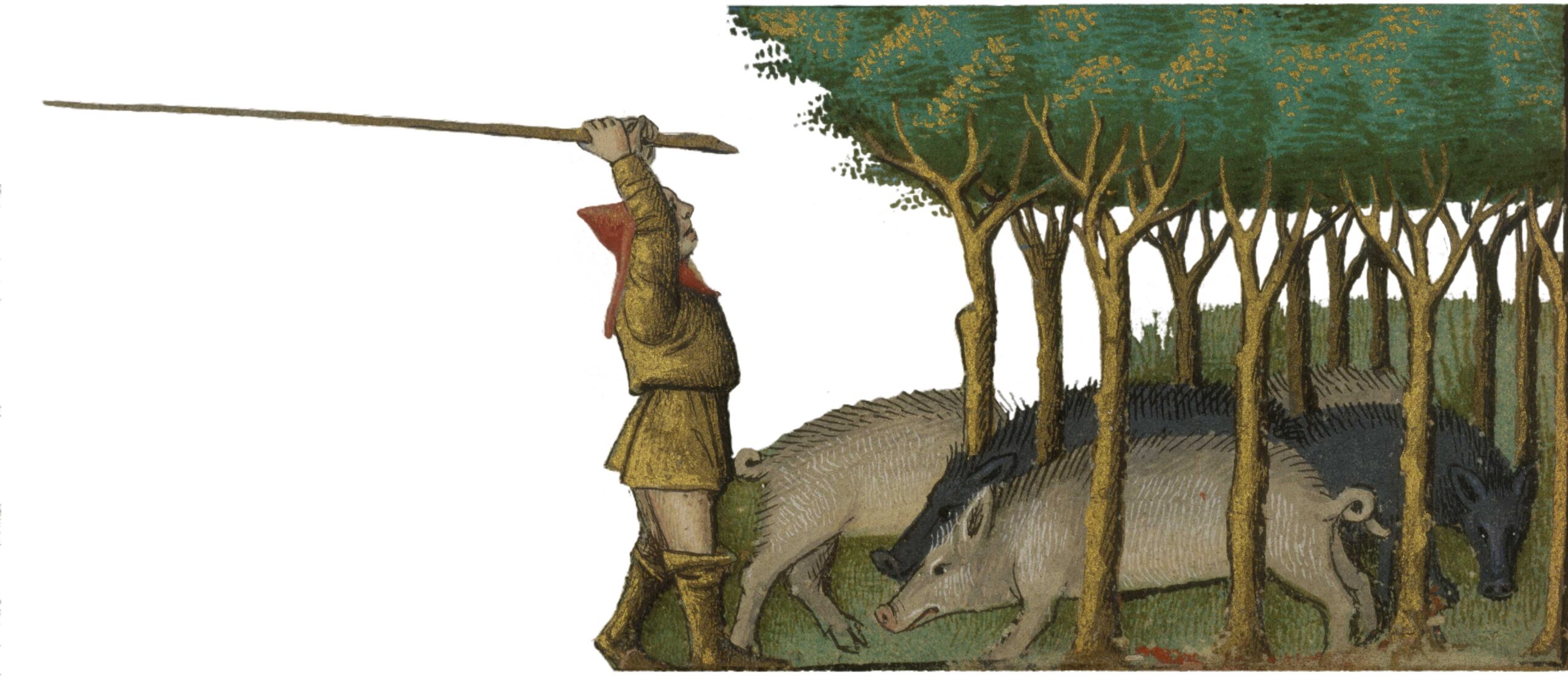 Dans le cadre de l'exposition temporaire Bêtes expo ! une exposition pour petits et grands aventuriers retrouver les animaux domestiques et leur place dans la vie du Moyen Âge : ici une image de la glandée